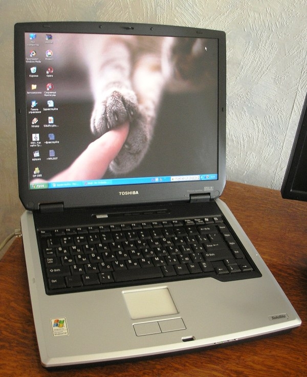 toshiba px1342e-1cam driver windows xp